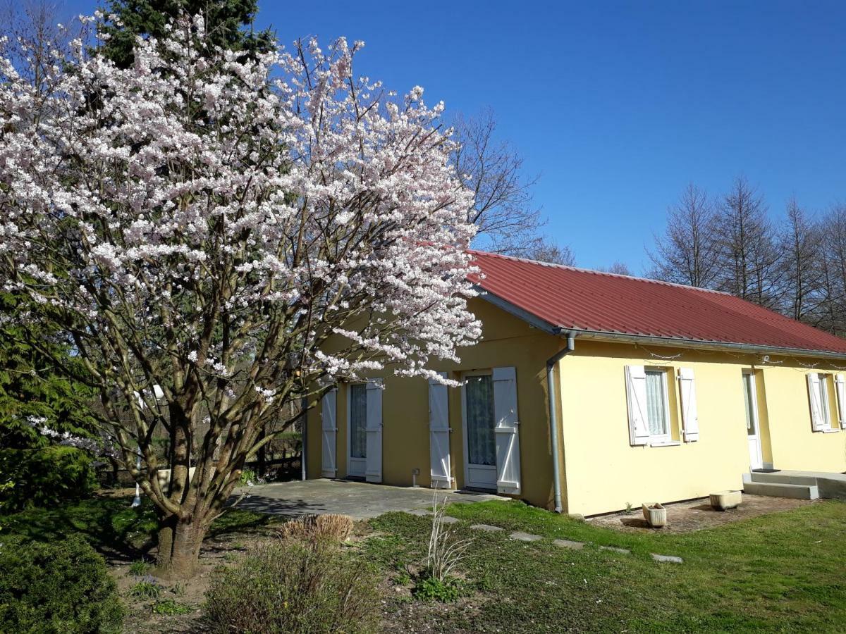 אילהויזרן Maison De Manon מראה חיצוני תמונה